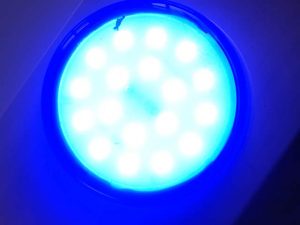 Blue Translucent Flat Light Cap