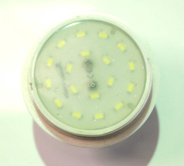 Warm Warm White Flat Cap 24v LED Lamp