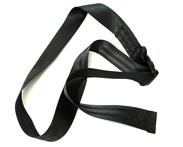 Standard Seat Belt