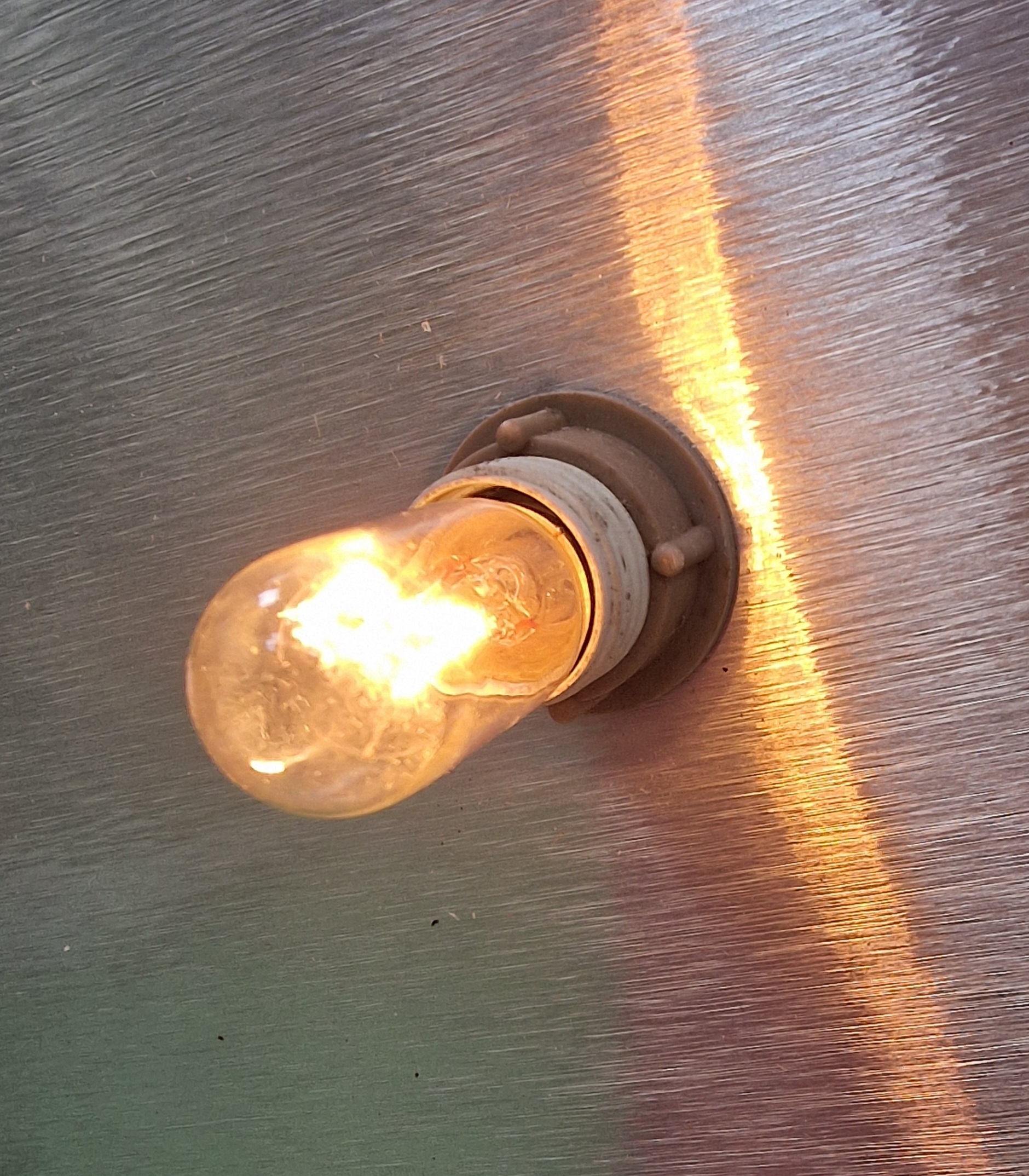 10w 240v E14 54x16mm Pygmy Light Bulb - Image 3