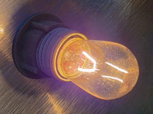 10w 60v E14 18x46mm Pygmy Light Bulb